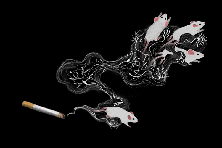 a drawing of a combustible cigarette with smoke in the shape of neurons chasing white mice